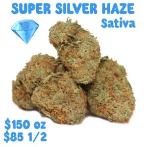 SUPER SILVER HAZE – Sativa