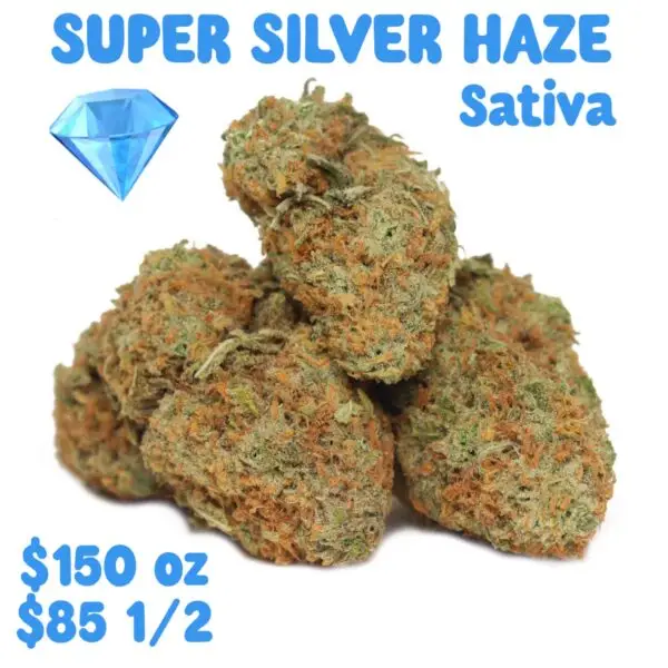 SUPER SILVER HAZE - Sativa