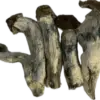 Yeti Mushrooms
