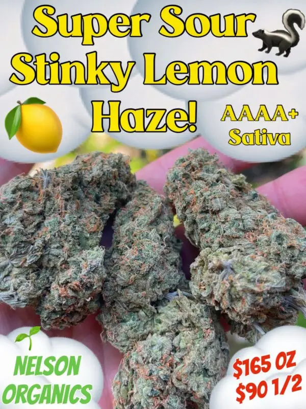 Super Sour Stinky Lemon Haze AAAA+ Sativa