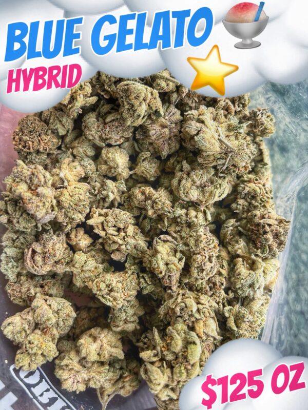 Blue Gelato Hybrid