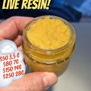 Gelato Haze – Live Resin!