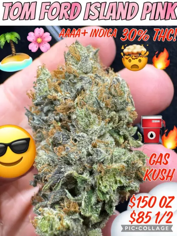 Tom Ford Island Pink - AAAA+ Indica