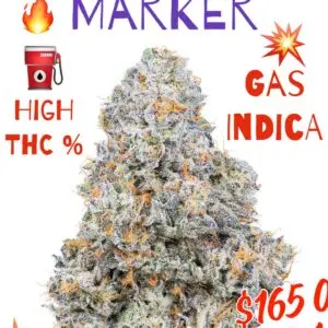 Permanent Marker – Gas Indica