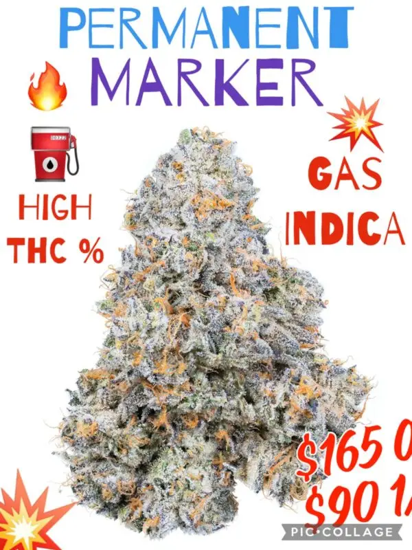 Permanent Marker - Gas Indica
