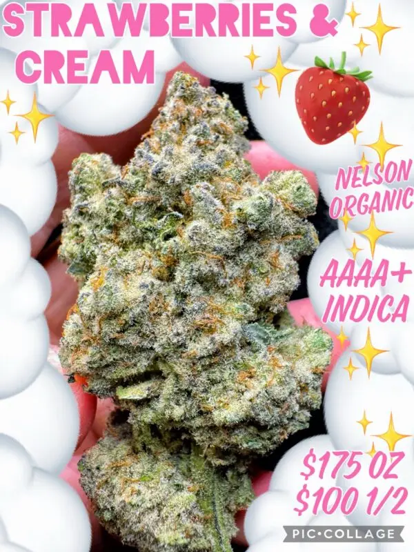 Strawberries & Cream - AAAA+ Indica