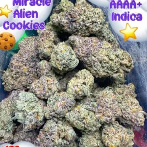 Miracle Alien Cookies – AAAA+ Indica