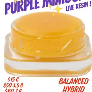 Purple Mimosa – Live Resin!