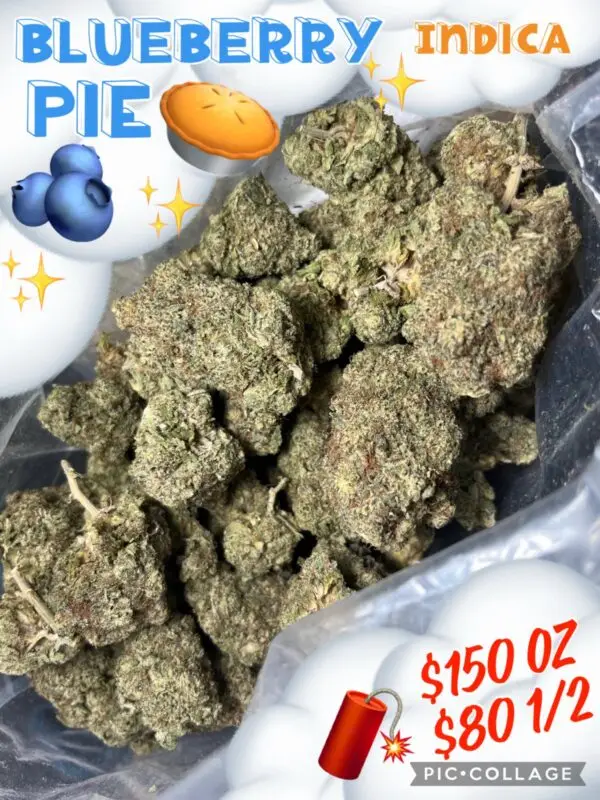 Blueberry Pie -  Indica