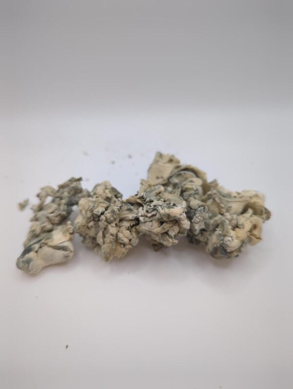 Jabba Enigma Magic Mushrooms - Image 2