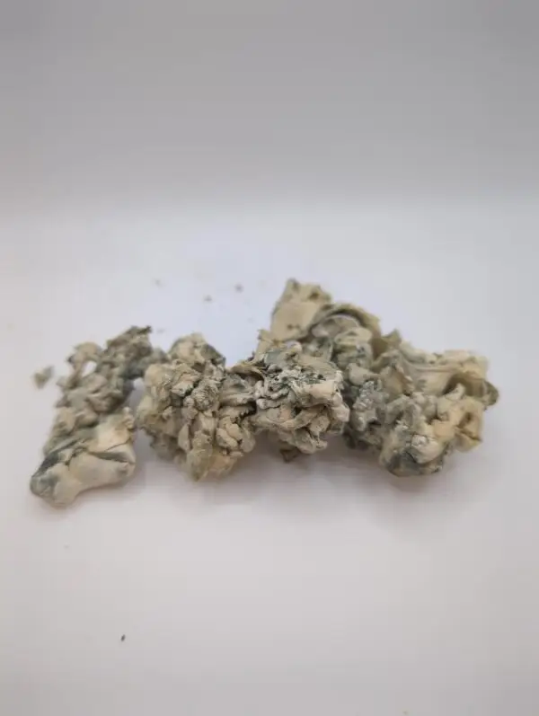 Jabba Enigma Magic Mushrooms - Image 2