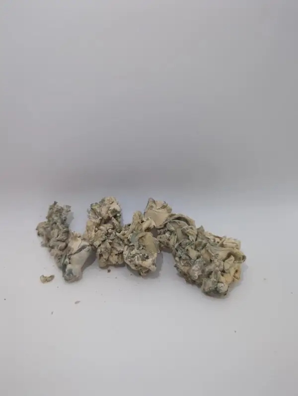 Jabba Enigma Magic Mushrooms - Image 3