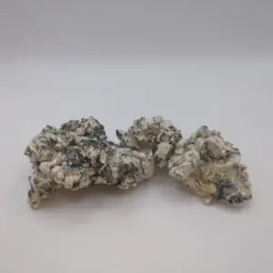 Omni Enigma Magic Mushrooms