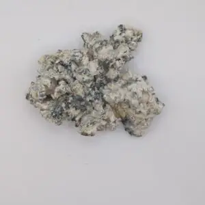 Omni Enigma Magic Mushrooms