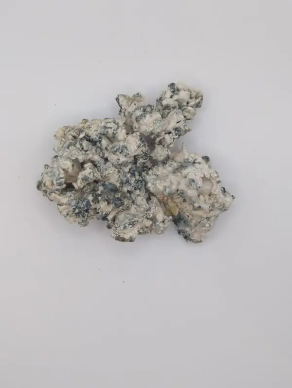 Omni Enigma Magic Mushrooms - Image 2