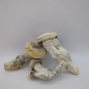 Maria Scbina Magic Mushrooms