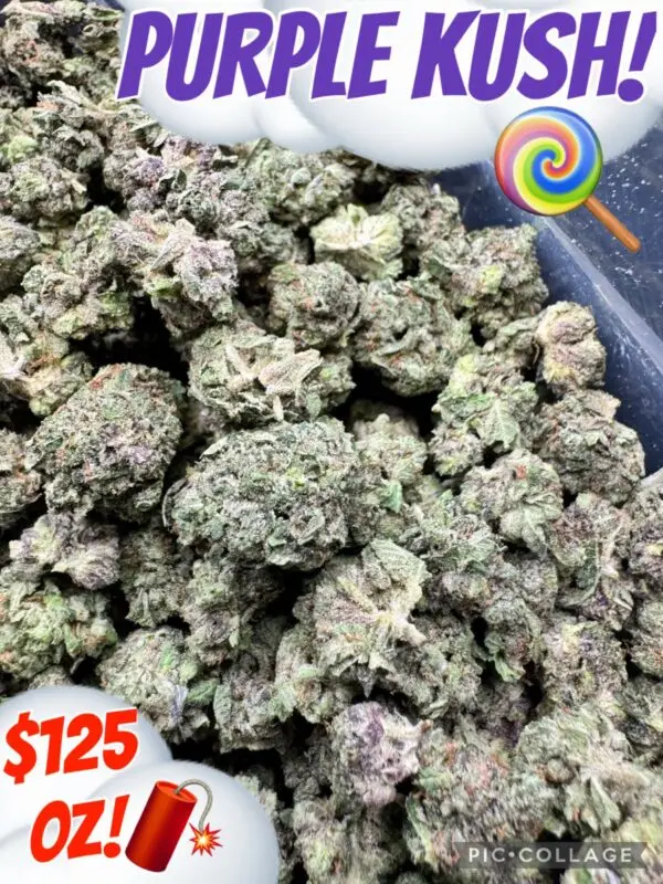 Purple Kush - Indica