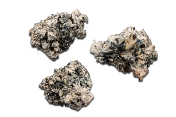 Omni Enigma Magic Mushrooms