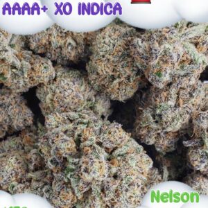 On GAS – AAAA+ XO Indica