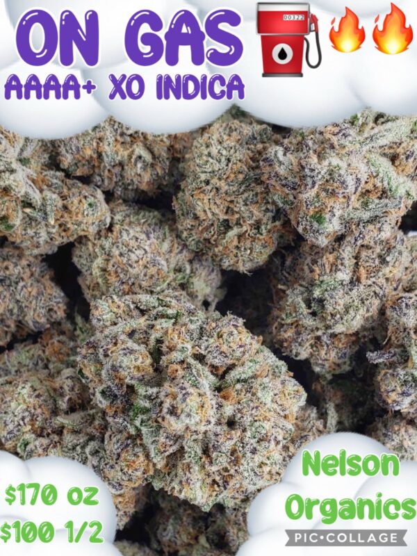 On GAS - AAAA+ XO Indica