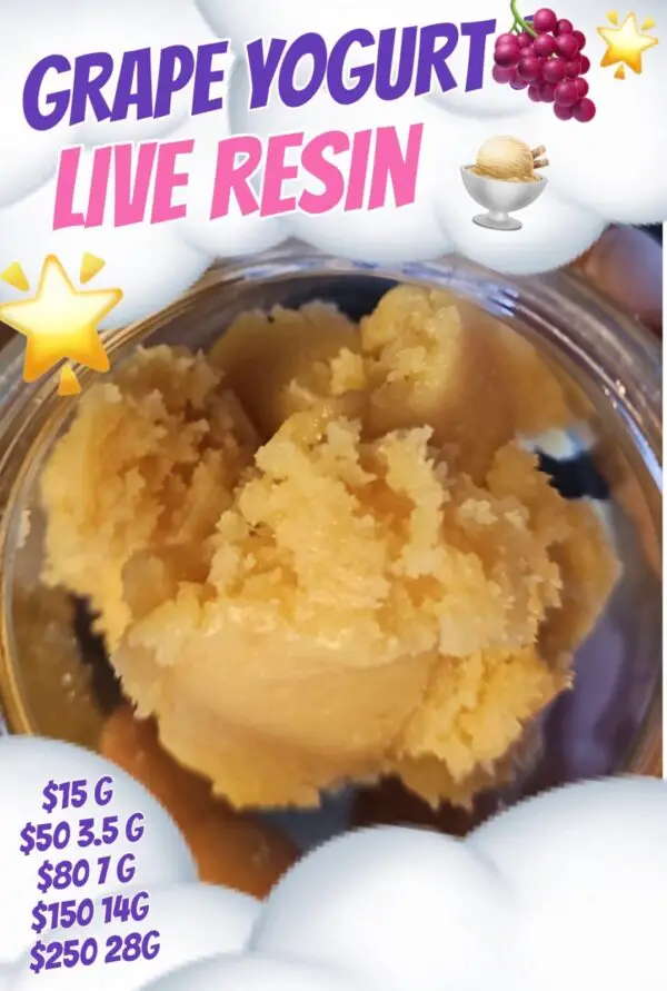 Grape Yogurt - Live Resin!