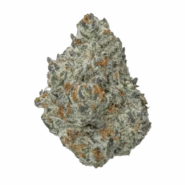 Ice Cream Cake Quad Exotic Indica