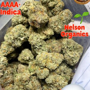 Apple Fritter  – AAAA+ Indica