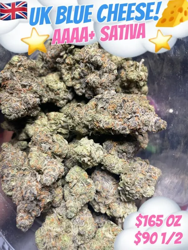 UK Blue Cheese AAAA+ Sativa