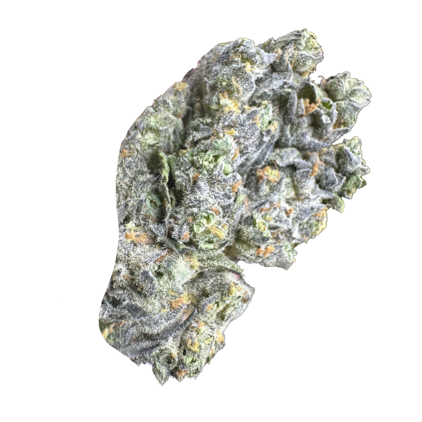 Oreo Cookies AAAA+ Hybrid