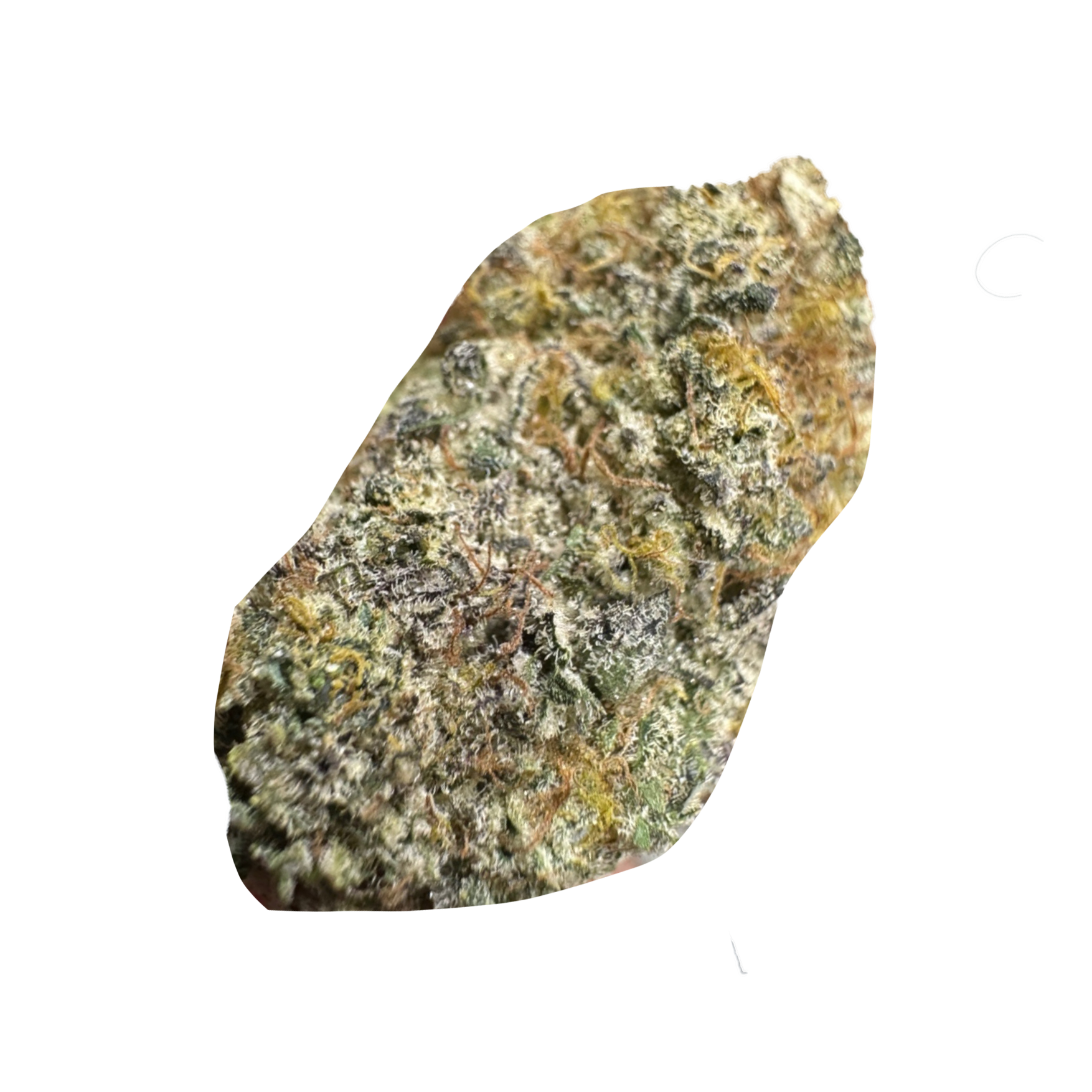Screaming Saucers AAAA+ Sativa